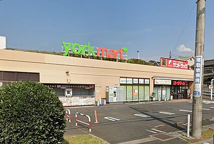 ヨークマート 藤原店 800m(10分)