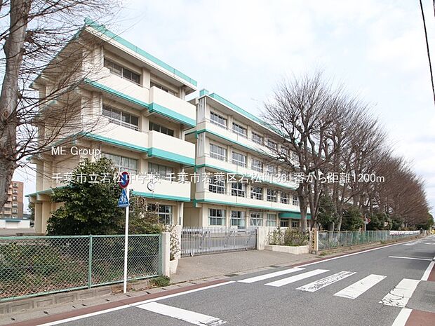 千葉市立若松中学校(約1,200m・徒歩15分)