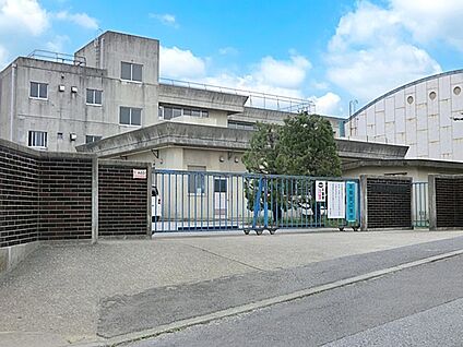松戸市立貝の花小学校 617m