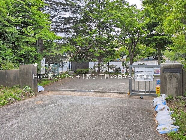 柏市立藤心小学校（約960m・徒歩12分）