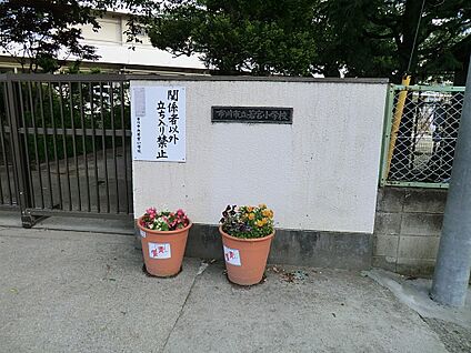 市川市立若宮小学校 460m(6分)
