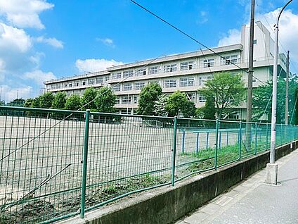 市川市立第八中学校 855m(11分)