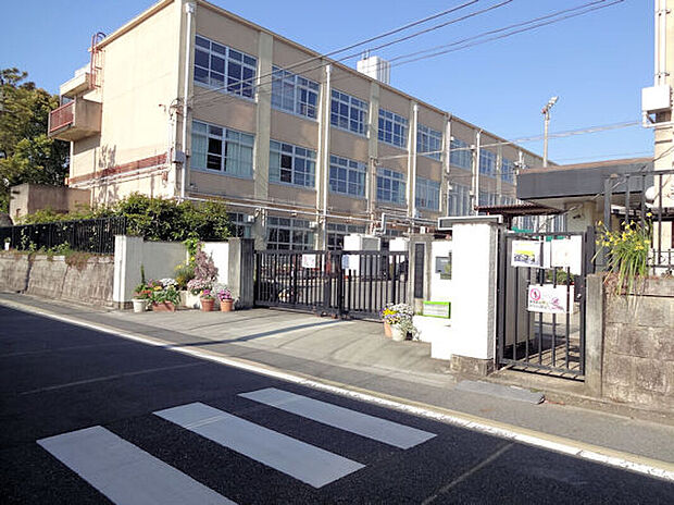 京都市立葵小学校(約640m)