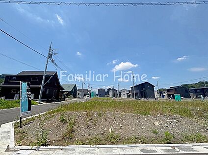2026年7月撮影