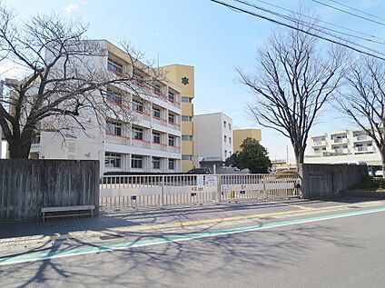 碧南市立中央中学校 165ｍ
