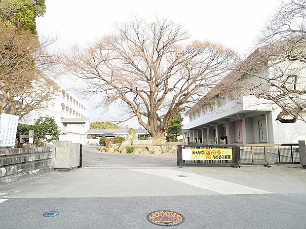 岡崎市立梅園小学校（約160m）