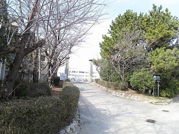 碧南市立棚尾小学校（約900m）