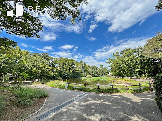 菊名池公園（約290m）