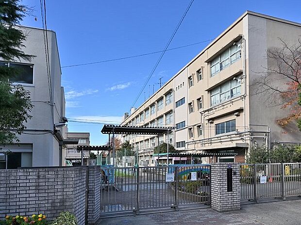横浜市立つつじが丘小学校（約600m）