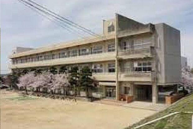 丸亀市立城東小学校 約1,500m