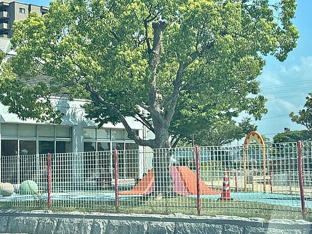 蓮池公園(約2,456m)