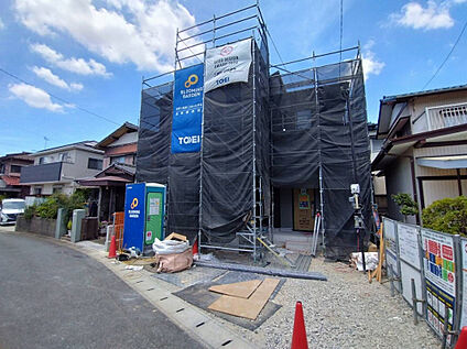 7月11日撮影