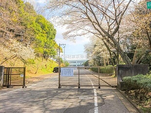 佐倉市立佐倉東小学校(約1,121m)
