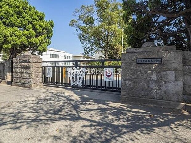 千葉市立蘇我小学校（約1,575m）