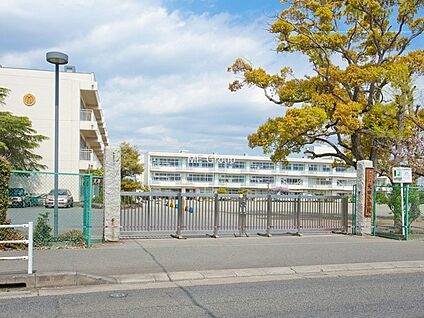 伊勢原市立大田小学校 1040m(13分)