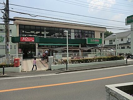 スーパーTAIGA 岡津店 600m(8分)