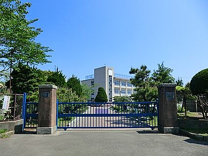 平塚市立港小学校 300m(4分)