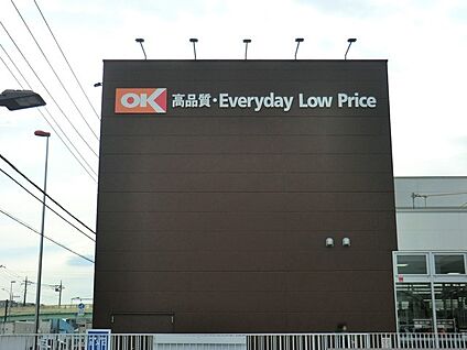 オーケー下九沢店 1000m(13分)