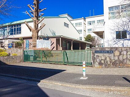 大和市立南林間小学校 500m(7分)