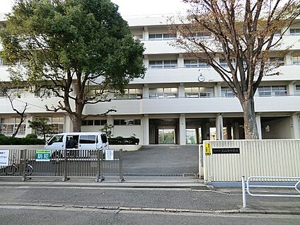 横浜市立丸山台中学校 1200m(15分)