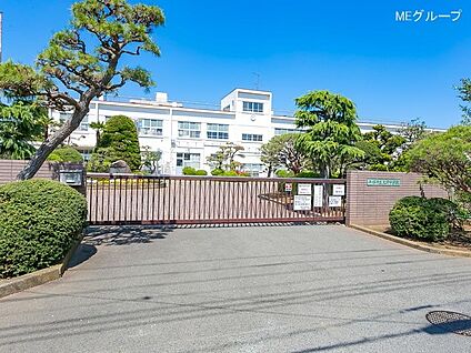 平塚市立大野中学校 550m(7分)