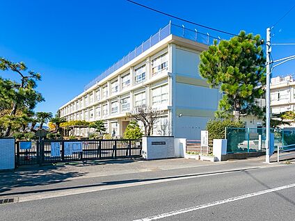 平塚市立金田小学校 700m(9分)