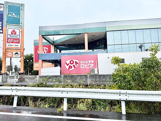 ロピア 開成店（約1,100m・徒歩14分）