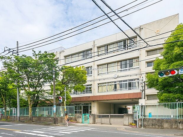 川崎市立野川小学校(約1,400m・徒歩18分)