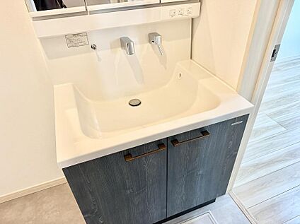 ハンドシャワー付洗面台