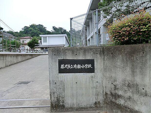 藤沢市立片瀬小学校(約450m・徒歩6分)