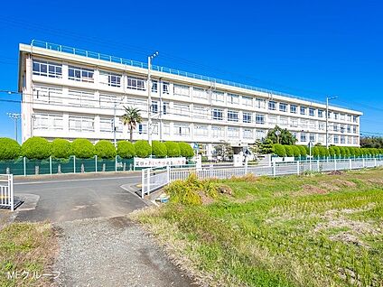 平塚市立大住中学校 2600m(33分)