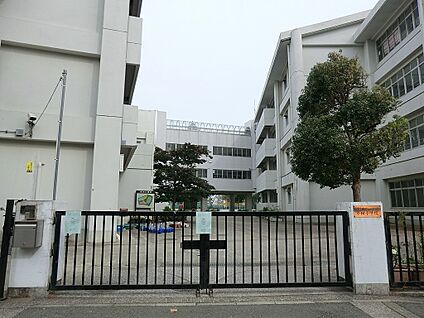 横浜市立小田小学校 600m(8分)
