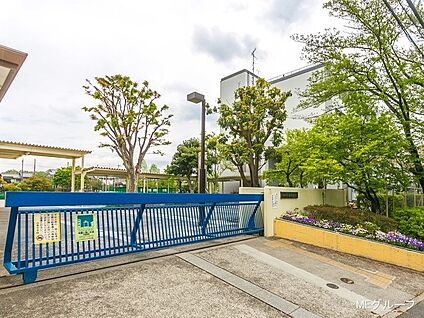 川崎市立白鳥中学校 1700m(22分)