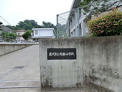 藤沢市片瀬小学校 850m(11分)