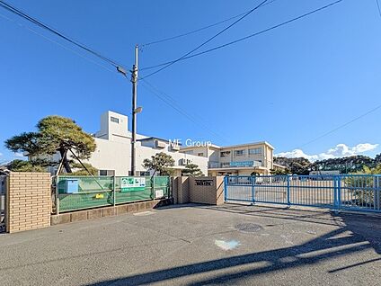 茅ヶ崎市立浜須賀小学校 1000m(13分)