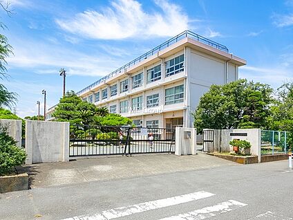 平塚市立真土小学校 600m(8分)