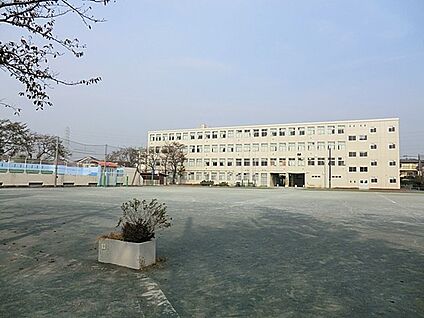 横浜市立葛野小学校 890m(12分)