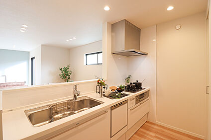 【ドリームタウンシリーズ施工例】