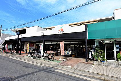Aコープ京都中央岩倉店 約931ｍ(徒歩12分)