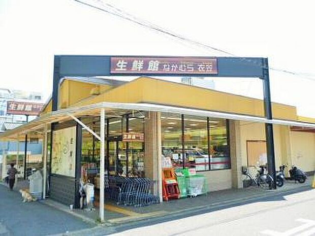 生鮮館なかむら衣笠店(約521m)