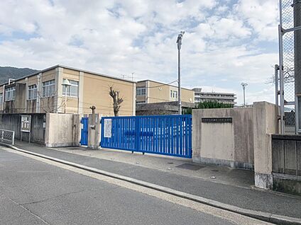 池田東小学校 約772ｍ(徒歩10分)