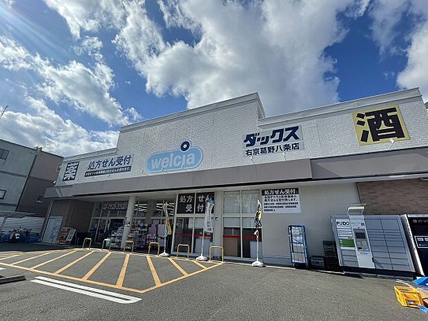 ダックス