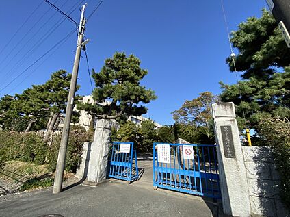 豊橋市立高師小学校 220ｍ(徒歩3分)