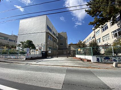 豊橋市立 栄小学校 1010ｍ(徒歩13分)