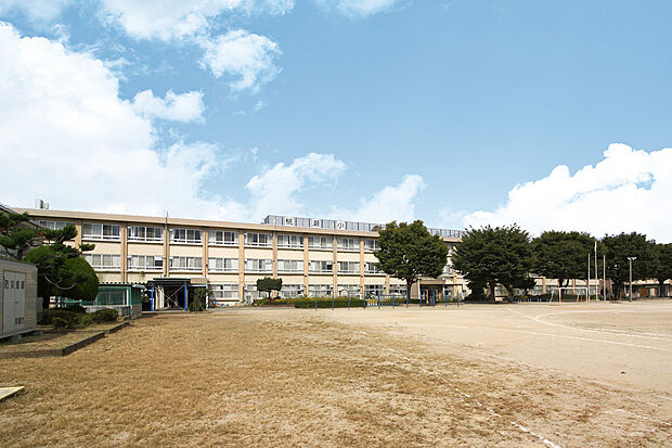 桃瀬小学校（約1,200m）