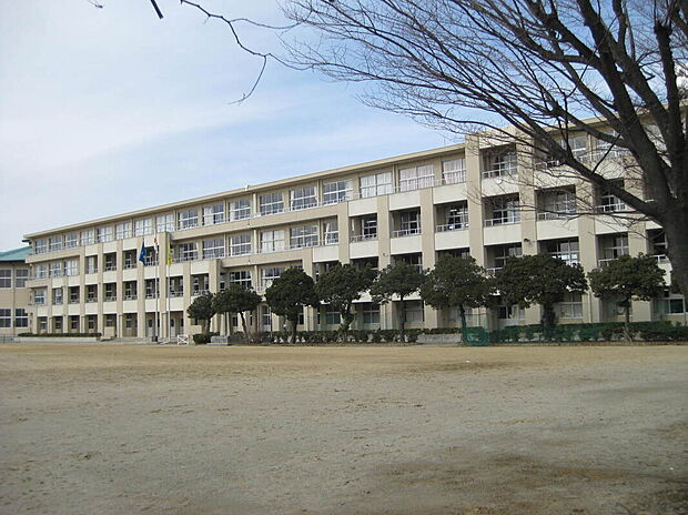 大垣市立北中学校(約1m)