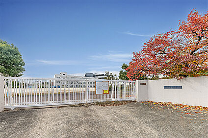 富田小学校 約570ｍ(徒歩８分)