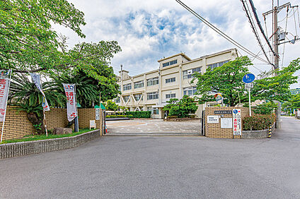 五領小学校 約800ｍ(徒歩10分)