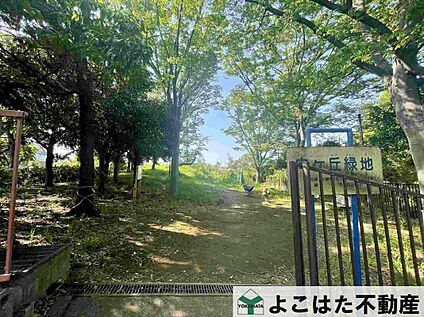向ケ丘緑地 750m