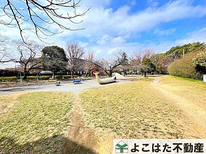 稲田公園 3920m